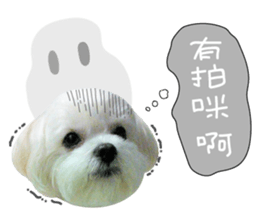Geely puppy's daily sticker #15898694