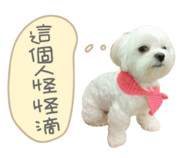 Geely puppy's daily sticker #15898695