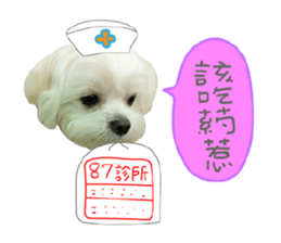 Geely puppy's daily sticker #15898696