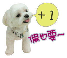 Geely puppy's daily sticker #15898697