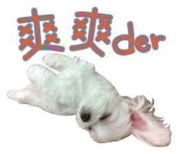Geely puppy's daily sticker #15898698