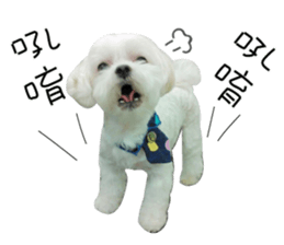 Geely puppy's daily sticker #15898699