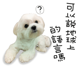Geely puppy's daily sticker #15898700