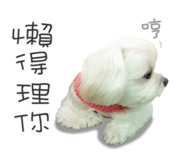 Geely puppy's daily sticker #15898701