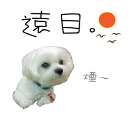 Geely puppy's daily sticker #15898704