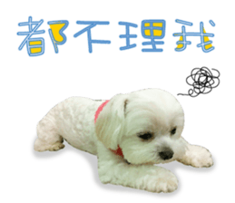 Geely puppy's daily sticker #15898705