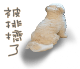 Geely puppy's daily sticker #15898710