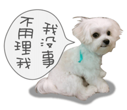 Geely puppy's daily sticker #15898711