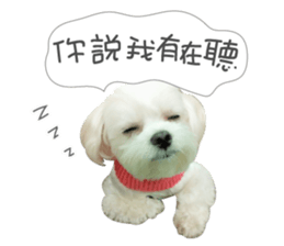 Geely puppy's daily sticker #15898712