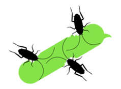 Cockroach moving 5 sticker #15898889