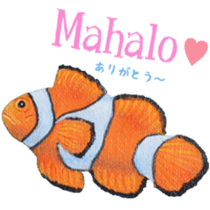 HILO KUME STICKERS sticker #15899081