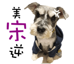 "Honey" raised the lovely little dog TWO sticker #15899175