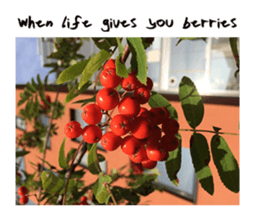 Helsinki stories sticker #15900074