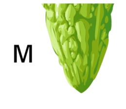 Dulan Village vegetable market sticker #15900824