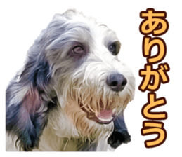 Moo-chan sticker #15901643