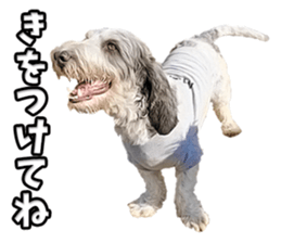 Moo-chan sticker #15901645