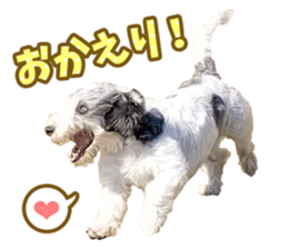 Moo-chan sticker #15901646