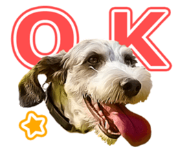 Moo-chan sticker #15901647