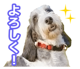 Moo-chan sticker #15901649