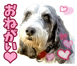 Moo-chan sticker #15901650