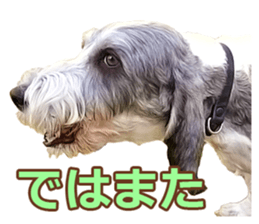 Moo-chan sticker #15901651