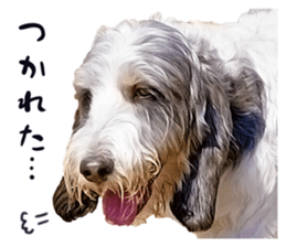 Moo-chan sticker #15901653