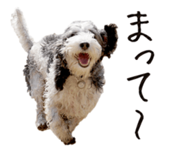 Moo-chan sticker #15901656