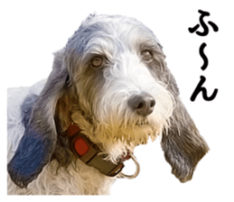 Moo-chan sticker #15901657