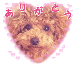 With momo sticker #15903466