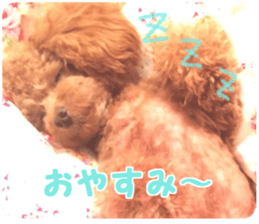 With momo sticker #15903468