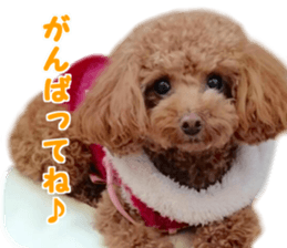 With momo sticker #15903469