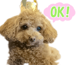 With momo sticker #15903470