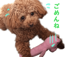 With momo sticker #15903471