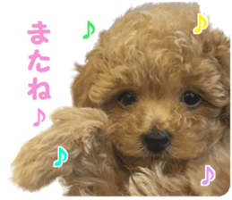 With momo sticker #15903472