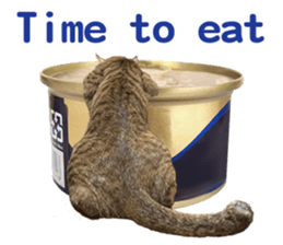 Alpah&Gamma- Second sticker #15903714