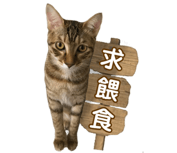 Alpah&Gamma- Second sticker #15903715