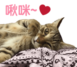 Alpah&Gamma- Second sticker #15903716