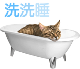 Alpah&Gamma- Second sticker #15903718