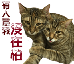 Alpah&Gamma- Second sticker #15903719