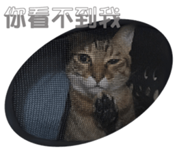 Alpah&Gamma- Second sticker #15903720