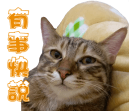 Alpah&Gamma- Second sticker #15903721