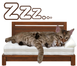 Alpah&Gamma- Second sticker #15903722