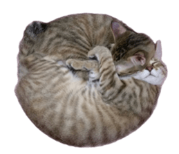 Alpah&Gamma- Second sticker #15903724