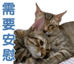 Alpah&Gamma- Second sticker #15903725