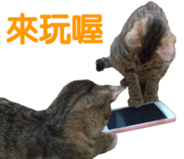 Alpah&Gamma- Second sticker #15903726