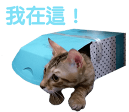 Alpah&Gamma- Second sticker #15903727