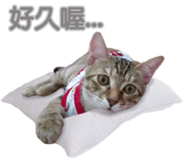 Alpah&Gamma- Second sticker #15903728