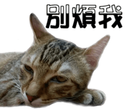 Alpah&Gamma- Second sticker #15903729