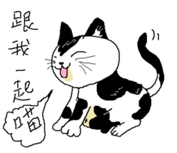 Sesame cat dating time sticker #15904124