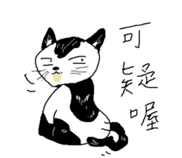 Sesame cat dating time sticker #15904126